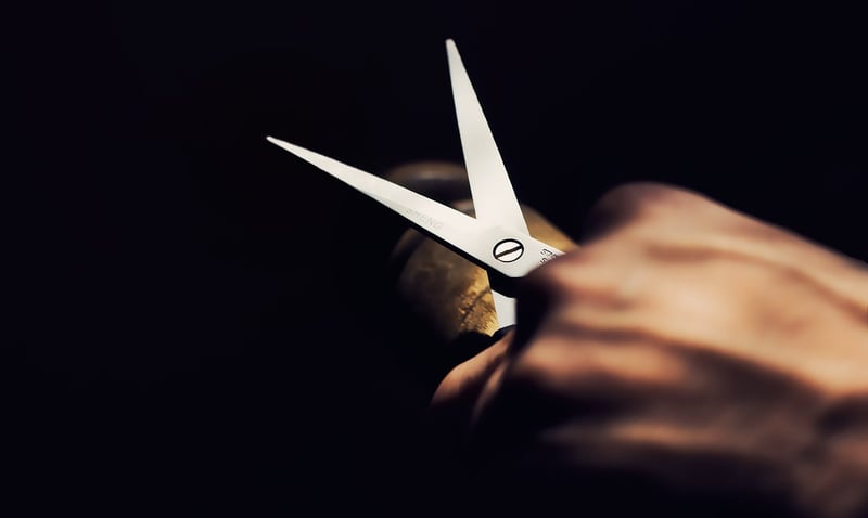 Herb Scissors